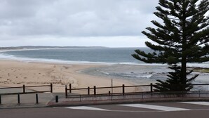 Una playa con una orilla curva, una valla metálica y un árbol en primer plano.