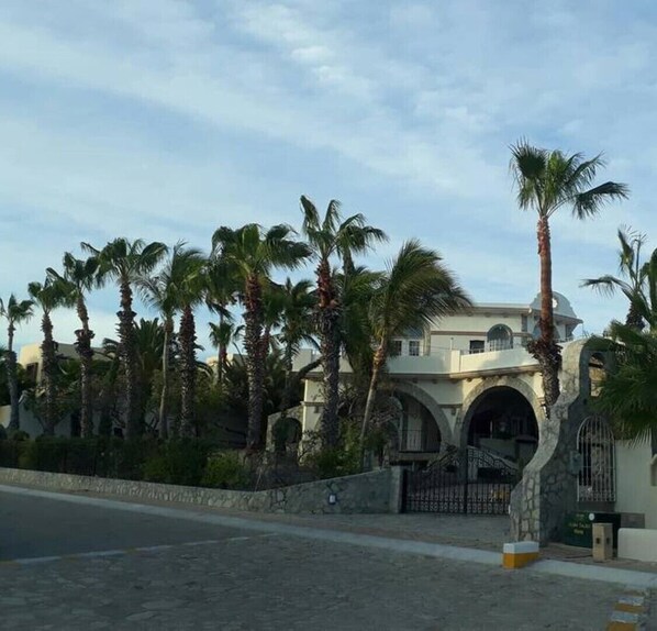 A building with a stone facade, arched entrance, and palm trees in the foreground.