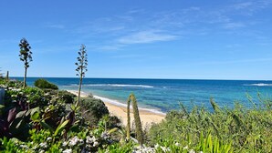 Un paysage côtier avec une plage, un ciel dégagé et de la végétation.