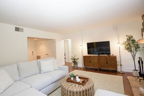 Smart TV, fireplace, books