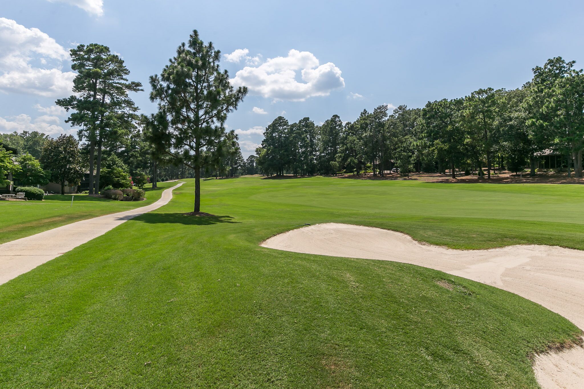 A golf course with a clear path, sand bunkers, and tall trees.