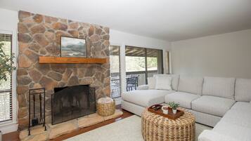 Smart TV, fireplace, books