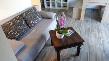 Una Smart TV, un reproductor de DVD, una mesa de tenis de mesa, libros