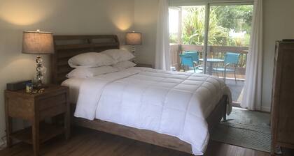 Sandpiper 133B - updated and renovated studio in Princeville