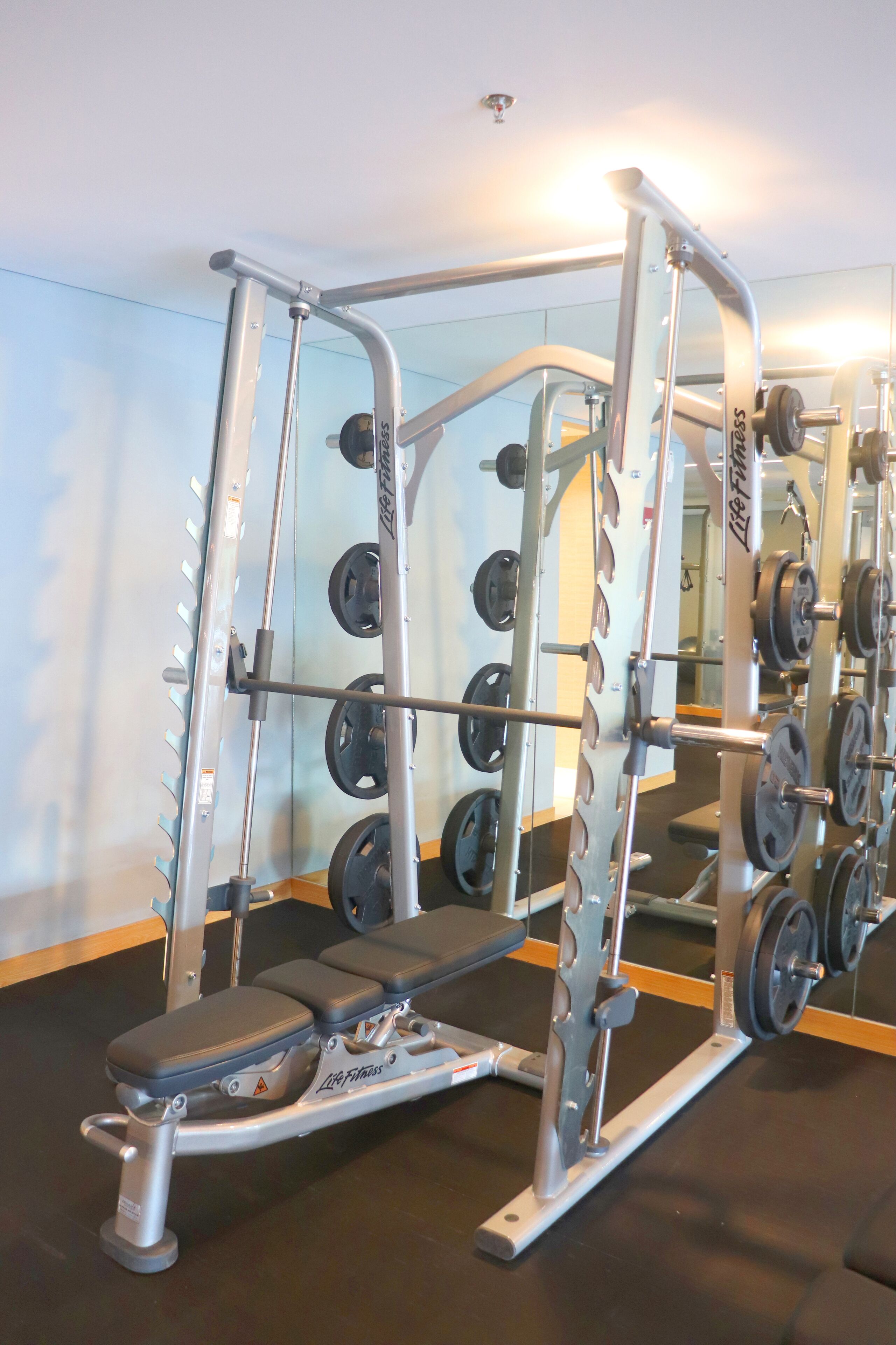 Une salle de sport équipée d’un banc pour l’haltérophilie, d’un support à squats et de divers disques de poids.