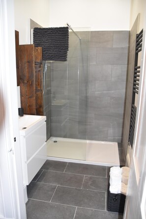 Shower, hair dryer, towels, soap