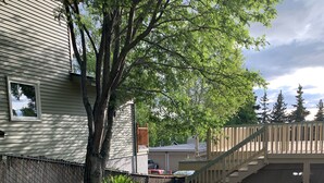 Un quartier résidentiel comprenant une maison, un escalier en bois et un jardin agrémenté de fougères et de rochers.