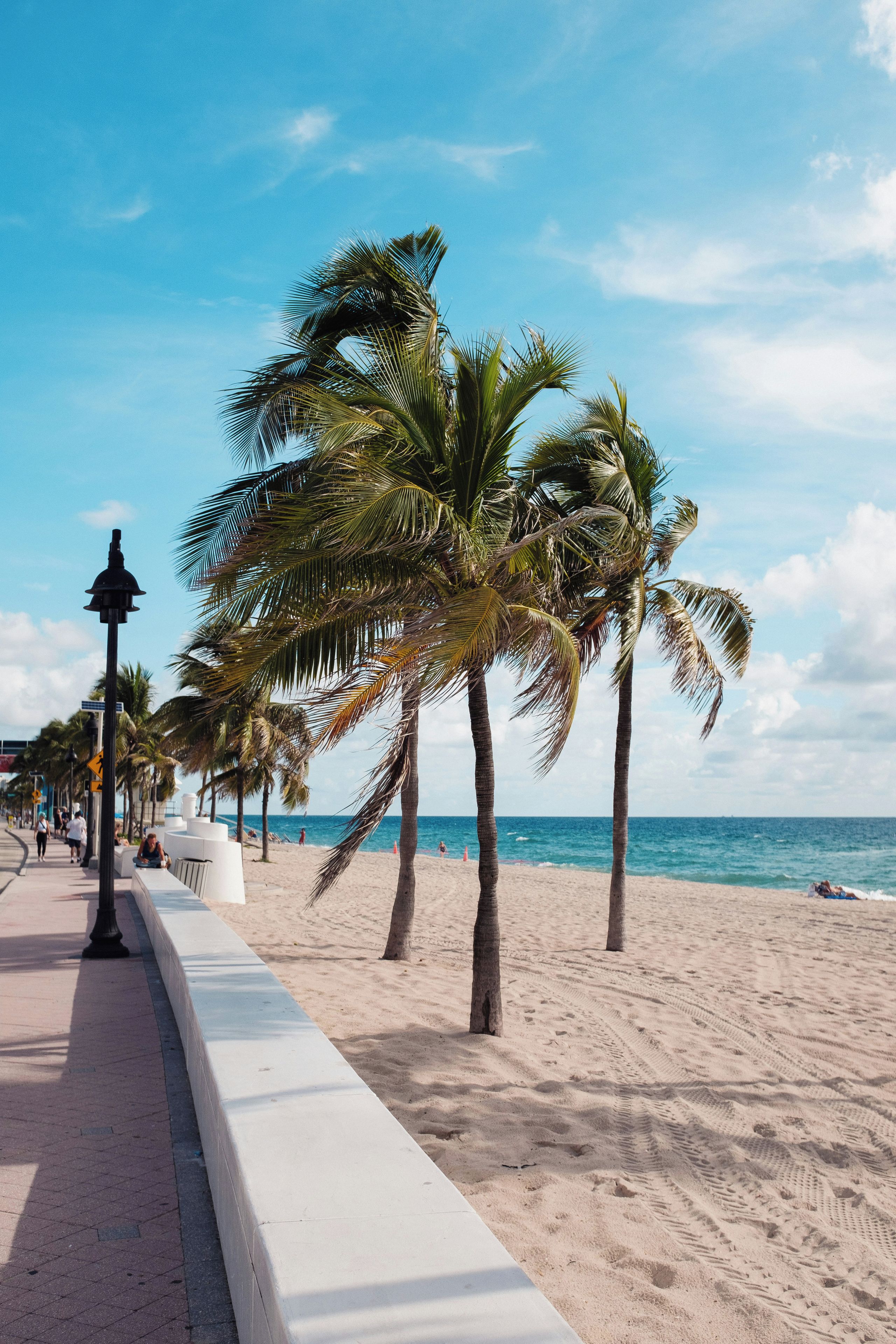 A beach with palm trees and a walkway.