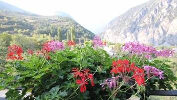 Stunning garden surrounded by rugged mountains, offering a serene and picturesque setting.