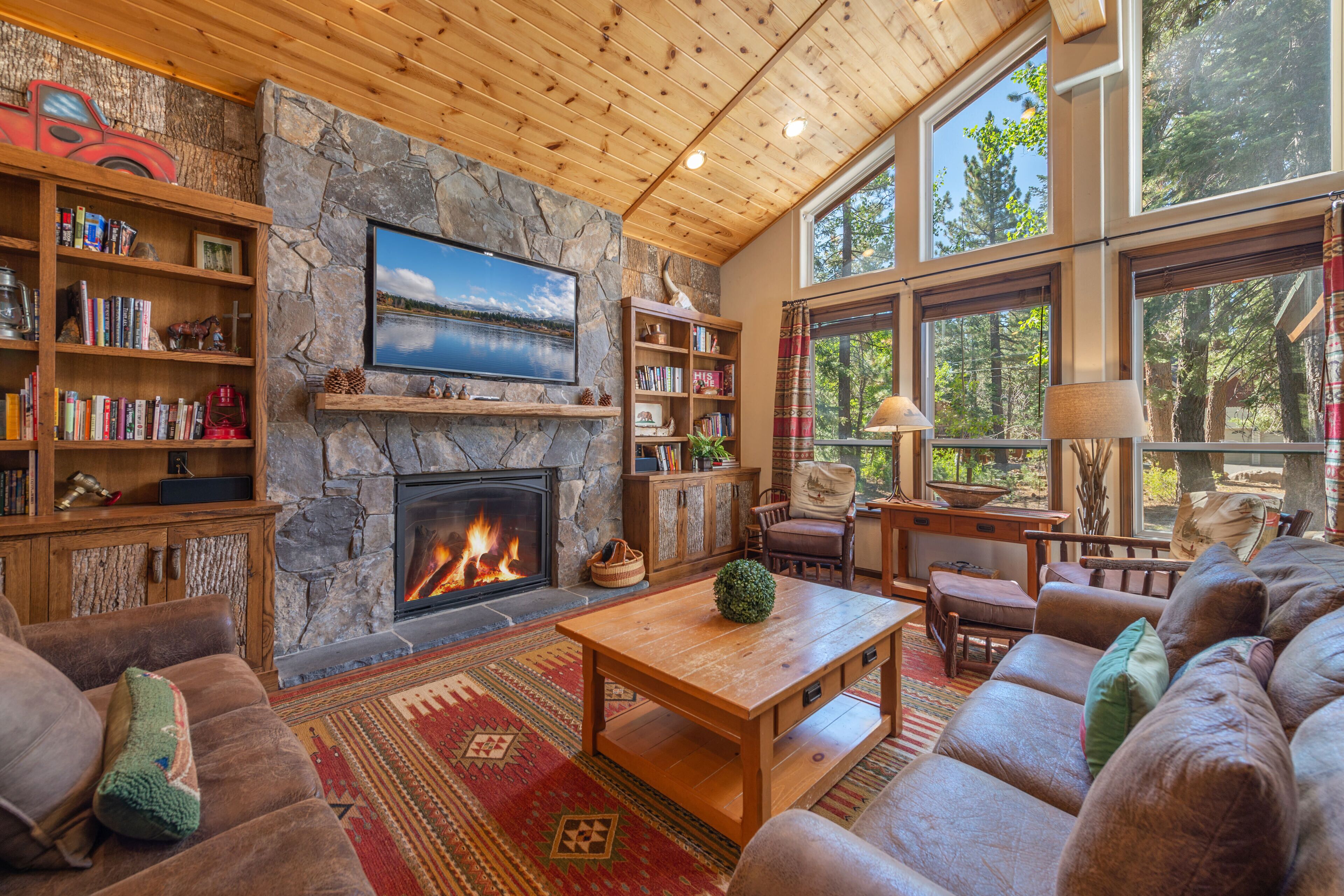 Televisie, een open haard, een dvd-speler en boeken