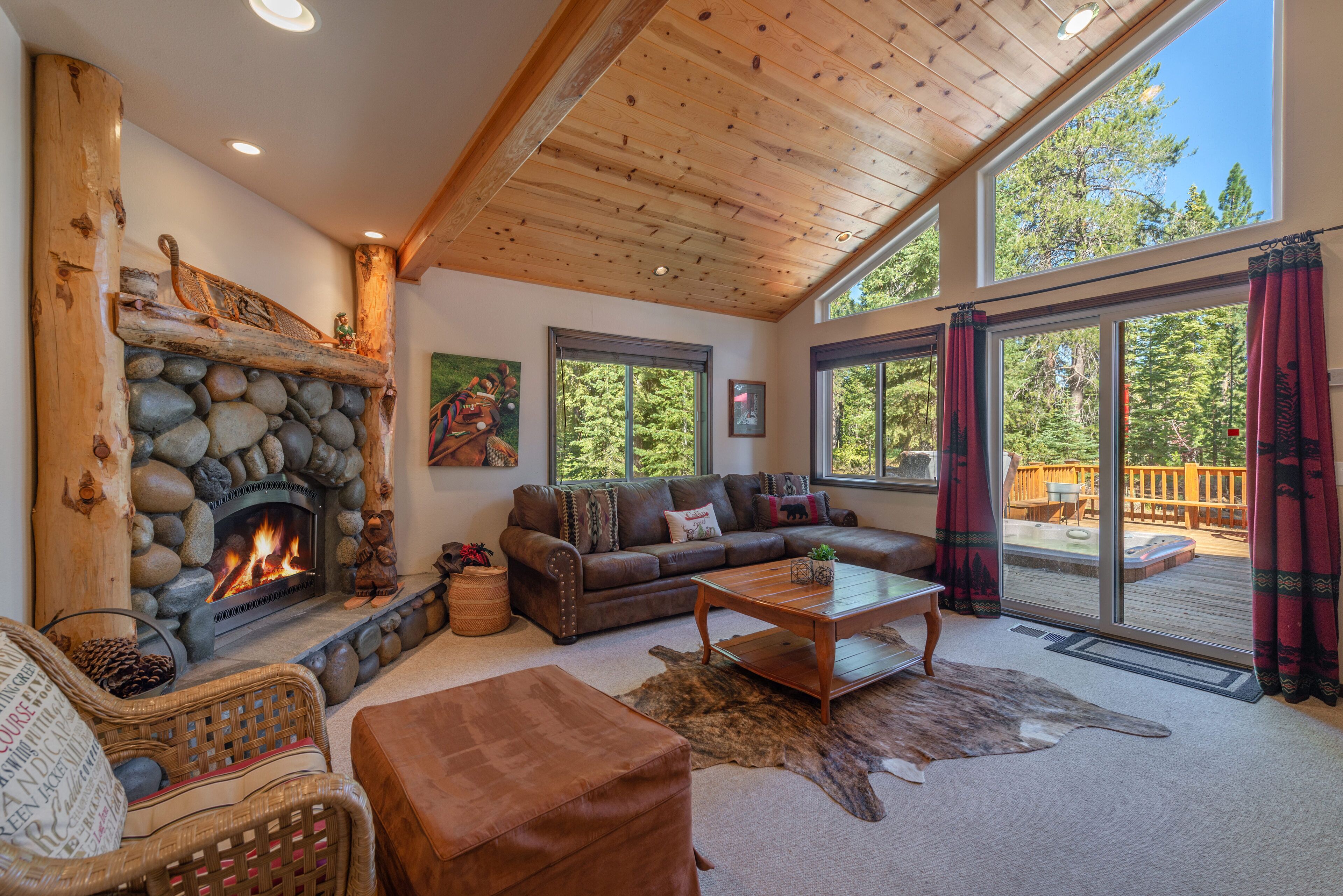 Televisio, takka, DVD-soitin, kirjoja