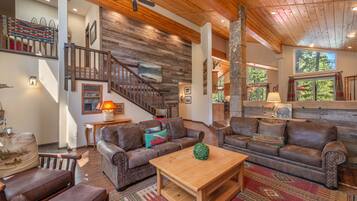 Televisión, chimenea, reproductor de DVD, libros