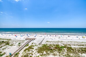 On the beach - Beautiful condo overlooking Majestic Ocean !!! (Jacksonville Beach)