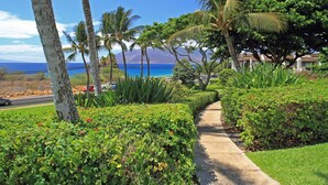A pathway lined with lush greenery and palm trees, leading to a view of the ocean and a mountainous backdrop. - Ocean-View Maui Kamaole Condo – A/C, Lanai, Walk to Beach & Pool! (Kihe)
