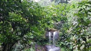 A waterfall surrounded by rocks and lush greenery. - Villa Ponm Kann 'L, breathtaking sea / mountain view (DESHAIES)