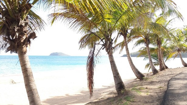 A beach with palm trees and a clear view of the ocean. - Villa Ponm Kann 'L, breathtaking sea / mountain view (DESHAIES)