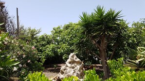 Un jardin avec différentes espèces de plantes, une formation rocheuse et un arbre.