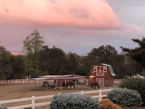A stable with horses, surrounded by trees and a white fence. - Private Loft above the barn on horse ranch (Pilot Hill)