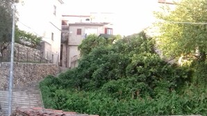 Il s’agit d’un petit bâtiment en pierre, doté d’un toit en tuiles et d’une porte en bois. Il est entouré de verdure et un escalier en pierre mène à son entrée.