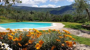 A swimming pool surrounded by a garden with yellow flowers, set against a backdrop of green hills and a clear sky. - Romantic cottage on a farm with a view of Cortona (Cortona)