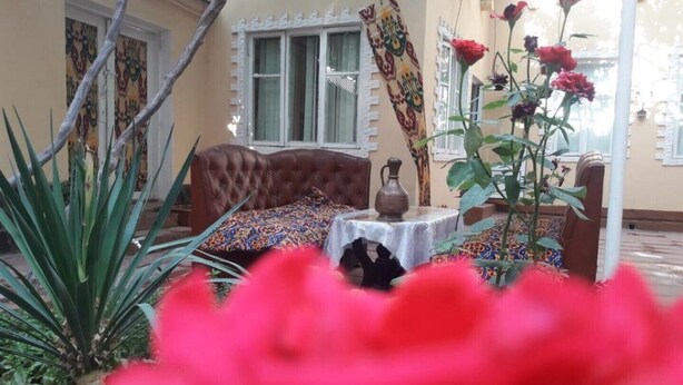 A cozy room with a brown sofa, a small round table with a vase, and a potted plant.