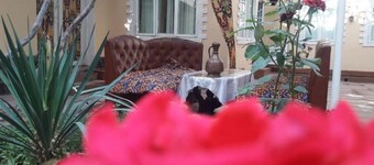 Гостиница Odilnur расположен в историческом центре города Бухары