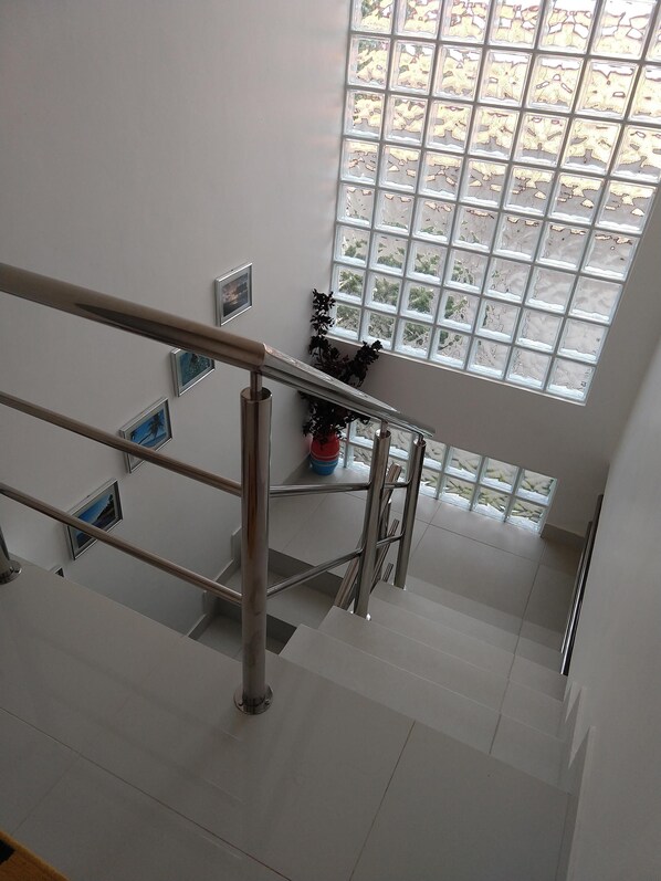 Un escalier moderne avec des rampes en métal, une vue sur l’extérieur à travers une grande fenêtre à carreaux et une plante sur la plateforme.