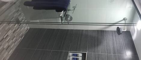 A modern bathroom with a glass shower enclosure, a dark wood floor, and a towel rack.