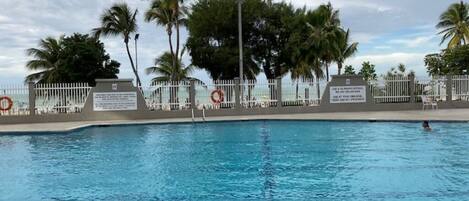 A swimming pool with a white fence, palm trees, and a lifeguard stand.