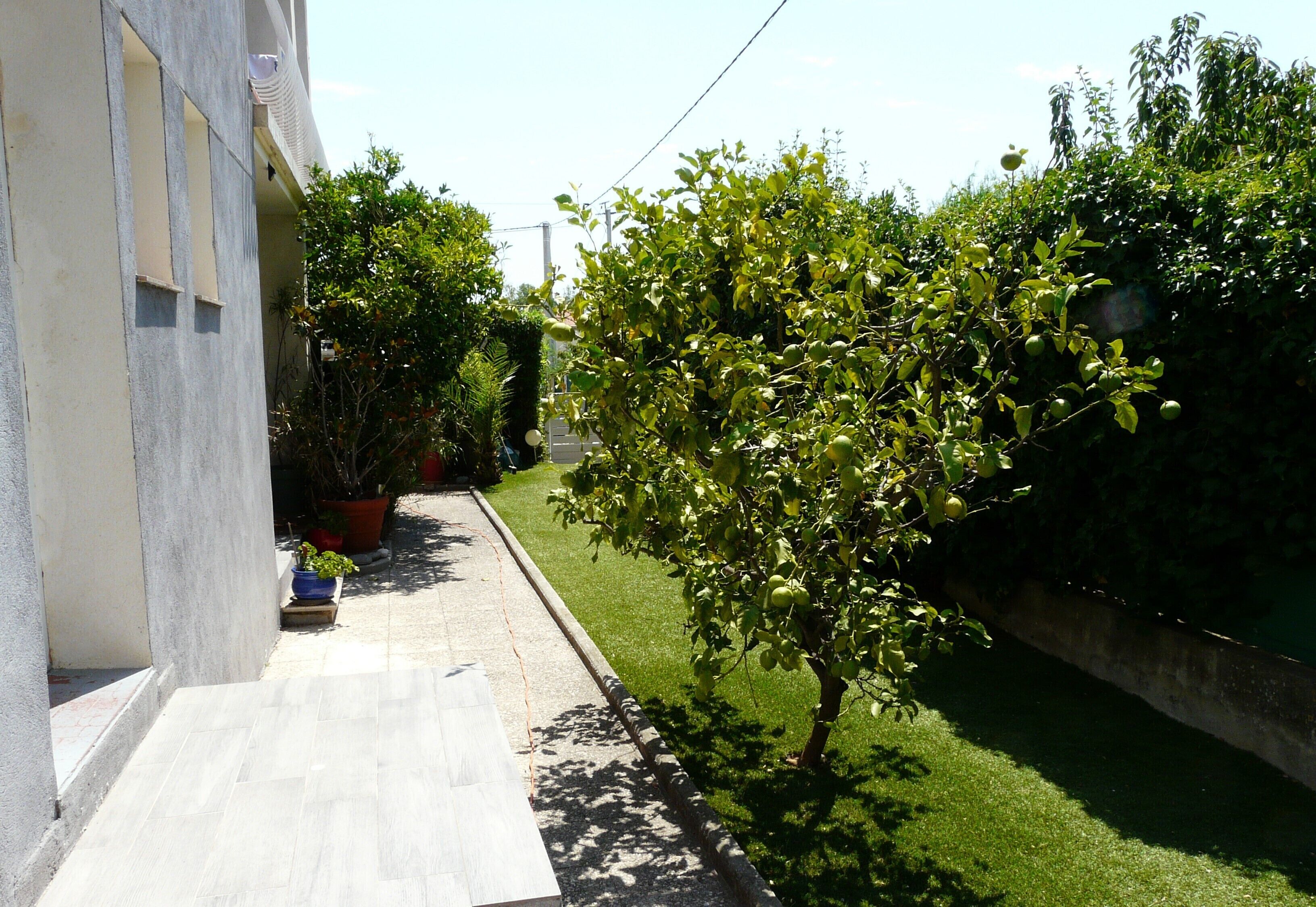 Ein schmaler Pfad führt zu einem Gebäude mit Betonfassade und einem kleinen Garten mit Baum und Blumentöpfen.