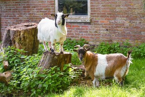 Imagem sem classificação, 3 de 49, botão