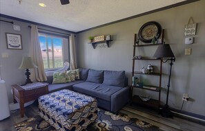 Una Smart TV, una chimenea, libros
