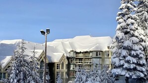 A ski resort with a building featuring multiple windows and balconies, surrounded by snow-covered trees. - Forest condo w/ AC, pool & gym (Whistler)