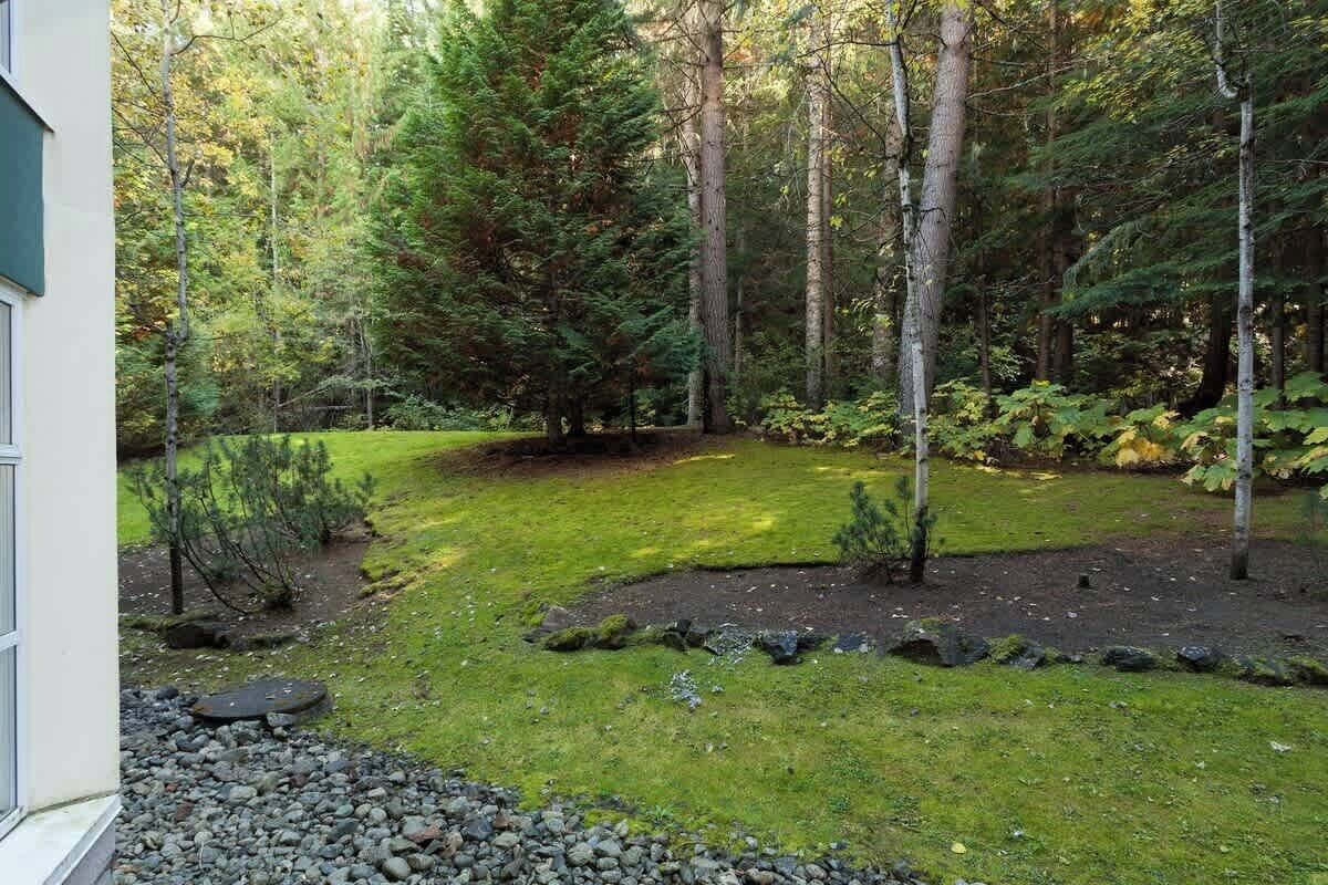 Hyvin hoidettu puutarha, jossa on monenlaisia puita ja pensaita, nurmikko ja kivipolku, joka johtaa rakennukseen.