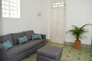 Flat-screen TV, Netflix, streaming services