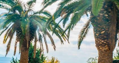 Dulce apartamento en el campo siciliano, cerca de Corleone y Palermo