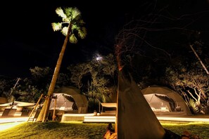 A night scene of a resort with dome-shaped accommodations, a palm tree, and a grassy area. - Sana Mane - Glamping (Naoshima)