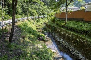 施設からの眺望