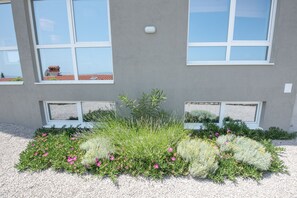 Property grounds - Exclusive penthouse in Sveta Marina, Istria - next to the sea (Sveta Marina)