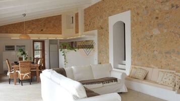 TV, fireplace, table tennis, stereo