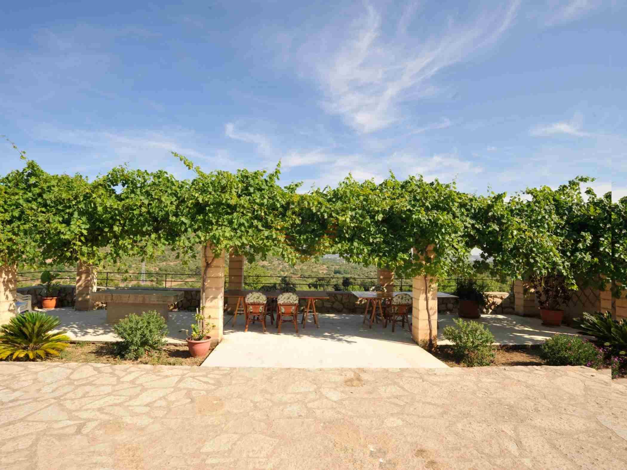 Un espace extérieur aménagé en terrasse, doté d’une pergola couverte de plantes grimpantes, d’un sol en pierre et de plantes en pot.