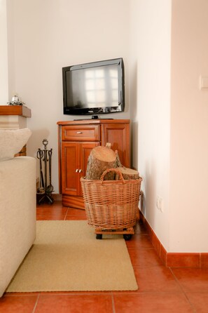 TV, fireplace, DVD player, books