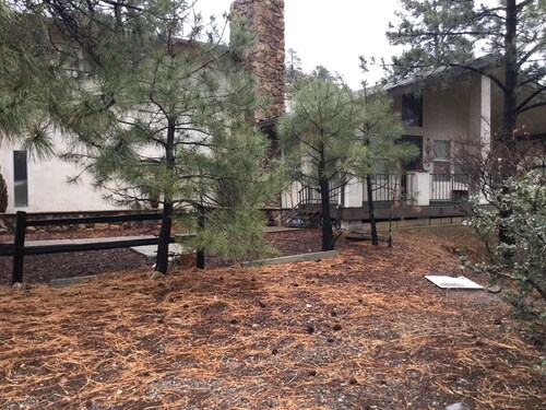 Charming two bedroom  cabin located in the Hualapai mountains sleeps 8