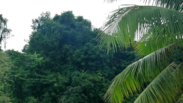 A view from a window overlooking a river with a boat docked on the opposite bank, surrounded by lush greenery. - Mulu Diana Homestay (Mulu)