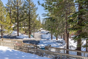Property grounds - Hidden Gem in the Valley-5 Minute walk to Village (Mammoth Lakes)