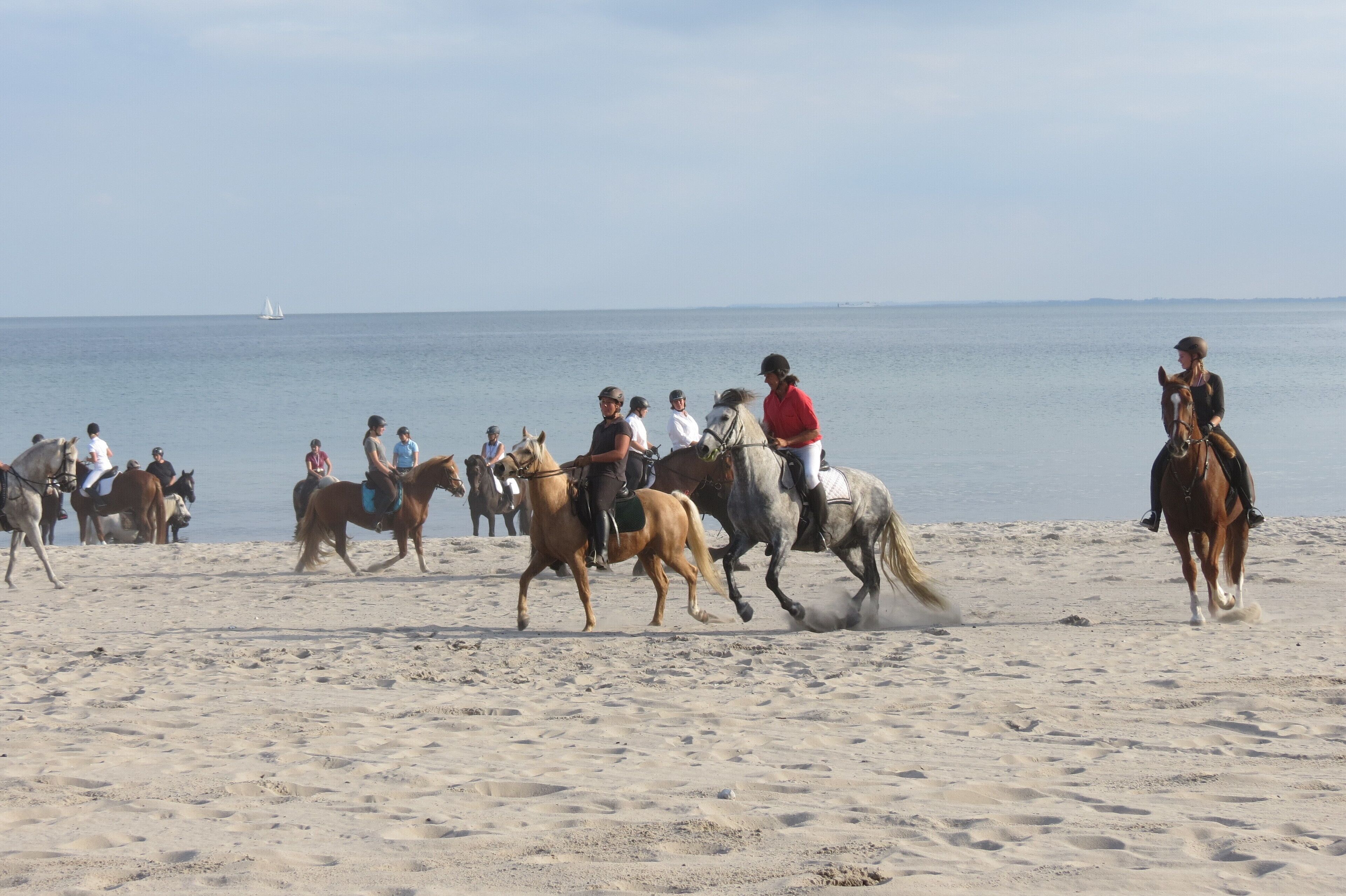 A beach with people riding horses.