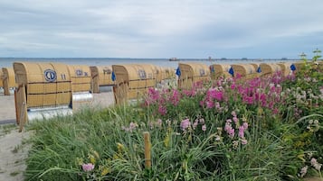 Playa en los alrededores