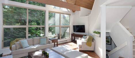 Televisio, takka, työhuone