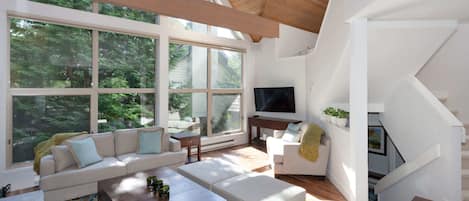 TV, caminetto, studio