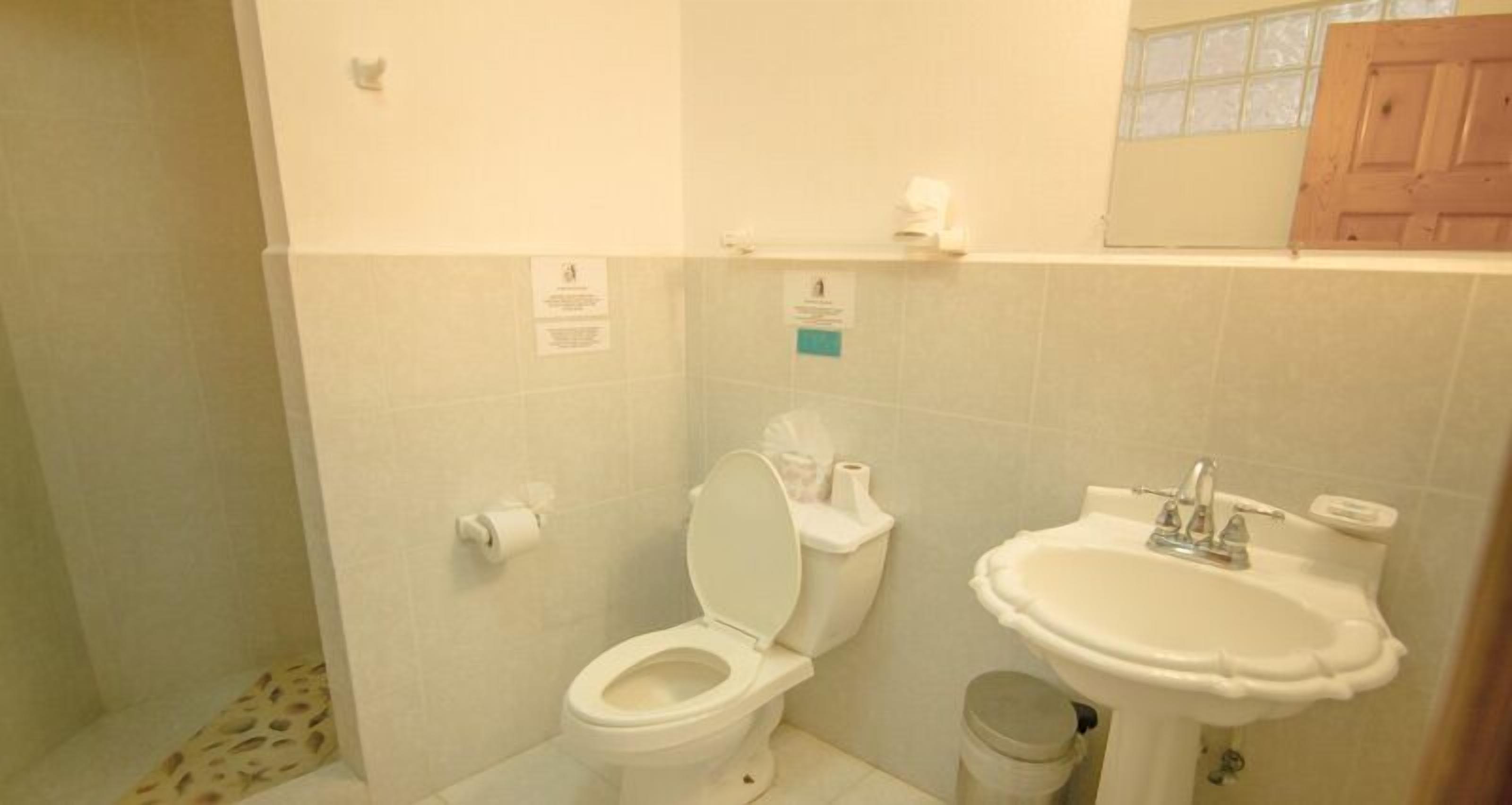 A bathroom with a toilet, sink, and a trash bin.